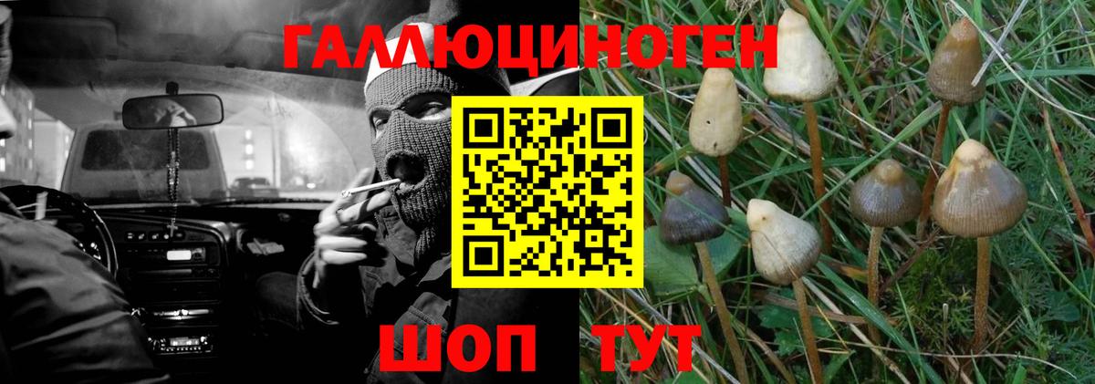 МАРИХУАНА  Вход с VPN  Сургут  LSD-25  Гашиш  МЕФ кристаллы 