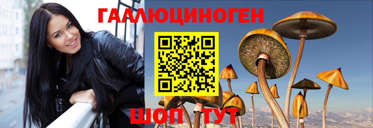 Псилоцибиновые грибы GOLDEN TEACHER Сургут